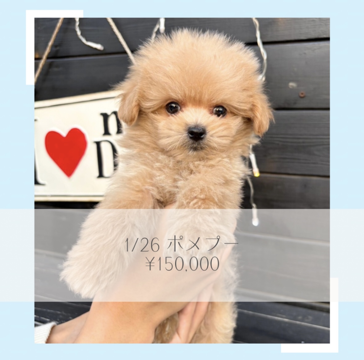 ご家族決まりましたの画像